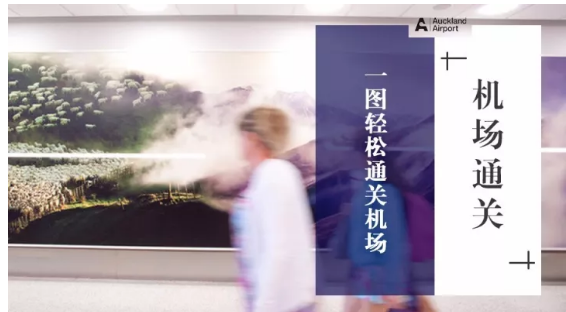 奥克兰机场“通关秘籍”在此，拿走不谢！