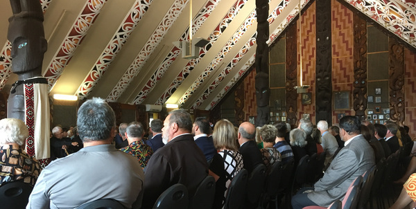 waitangi day waitangi day