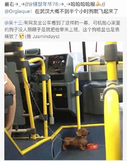 1 wanna take bus in wuhan