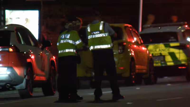 123 | 奥克兰行人被车撞倒当场身亡,警方连夜封路调查