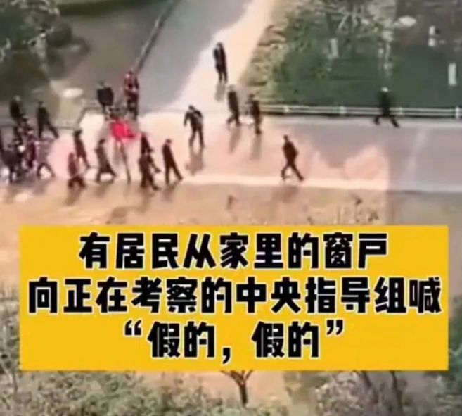 中央指导组在武汉一小区考察，群众高喊“假的假的”
