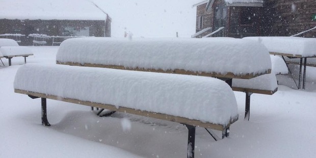 新西兰南岛山地积雪达30cm 心疼反季旅游的游客……