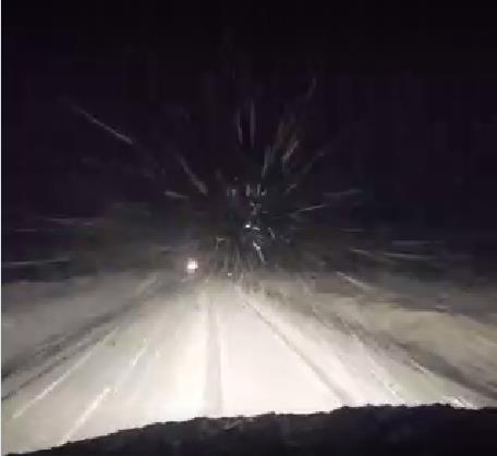 （视频）南岛大雪漫天开车找不到北，奥克兰入夜温度最高，全国平均只有四五度！