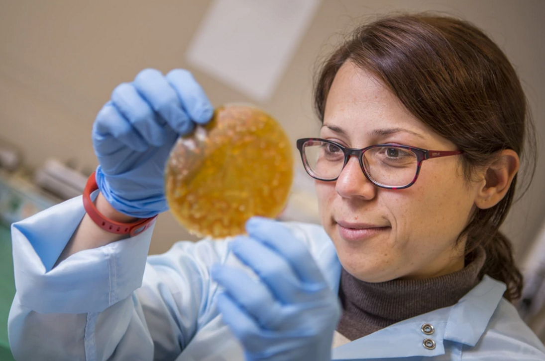 新西兰科学家利用乳蛋白创造生物可降解膜，有希望控制癌细胞癌变并帮助肌肉骨骼的恢复