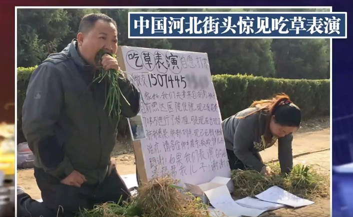 夫妇街头表演吃草  为儿子筹救命钱