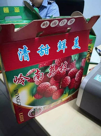从中国带荔枝入境  触犯检疫条例