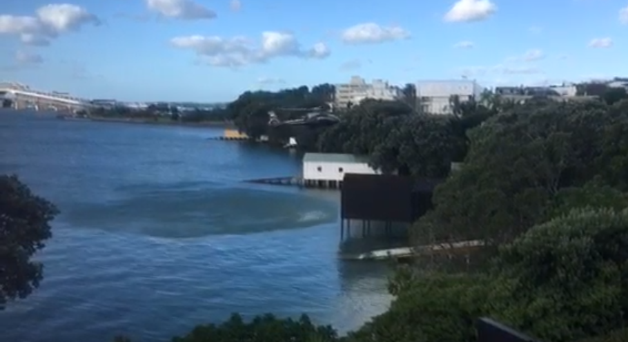 土豪也烦恼：在全新西兰最贵街区，业主们被迫跟停机坪作战！