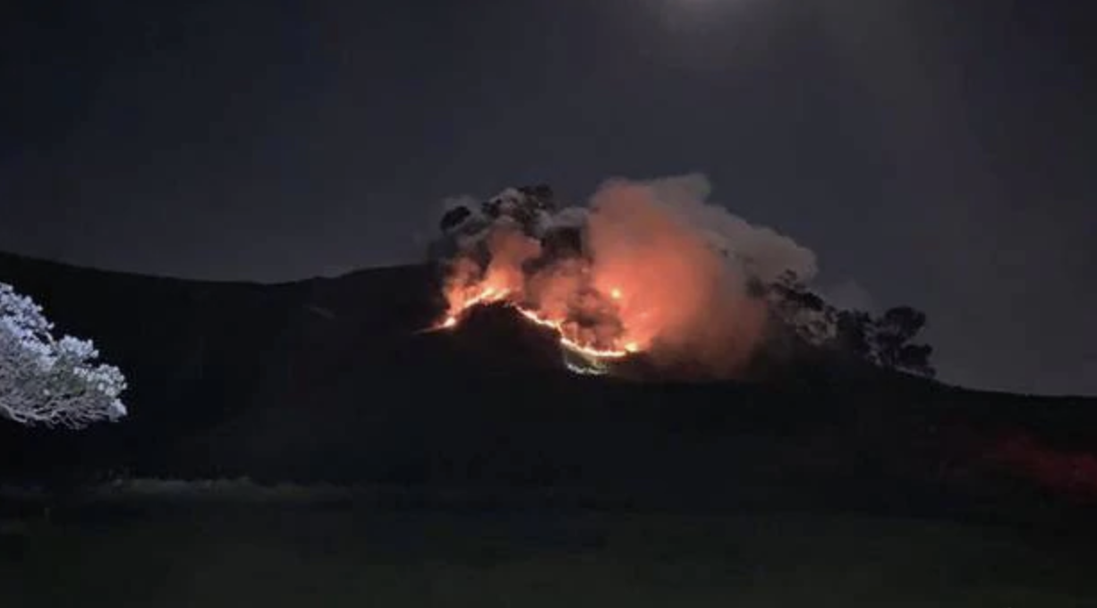 又一起大火！奥克兰市区一度烟雾笼罩