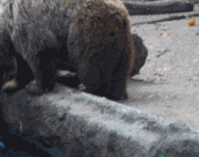 20190101113623