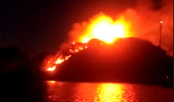 Moturua岛差点遭大火烧毁,他们这一愚蠢行为威胁了生态安全