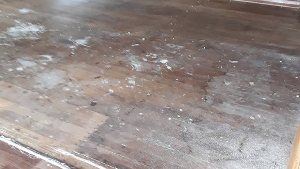 新西兰小偷好可怕，连空房的地毯和窗帘都不放过