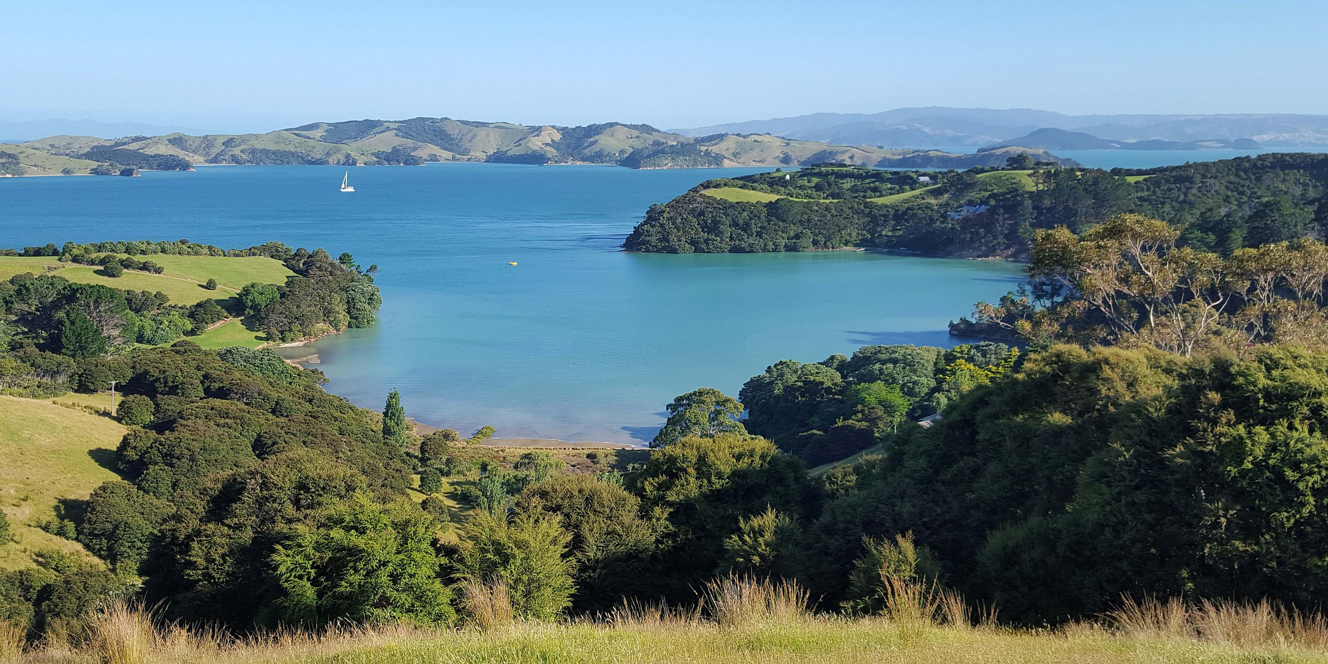 不要去Waiheke岛一日游，“否则我会拿着草耙等着你！”