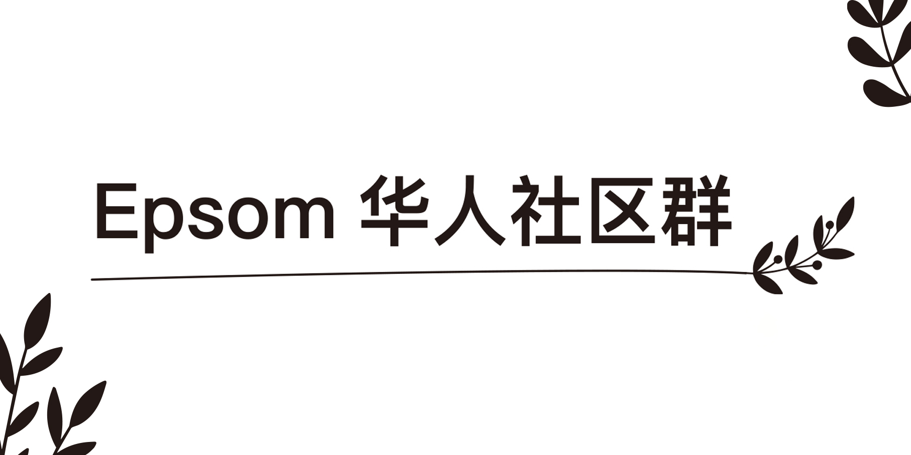 Epsom社群孩子们的中文写作（一）