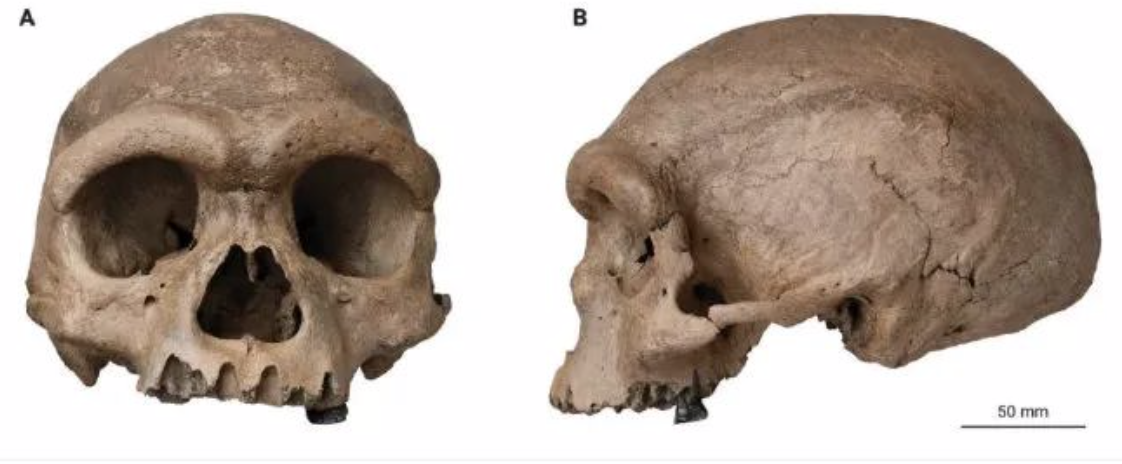 中国发现14.6万年前新人种："龙人"