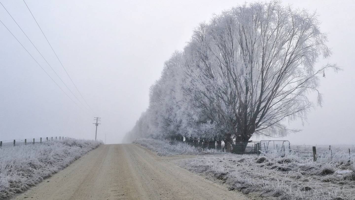 冬天来了！新西兰部分地区气温骤降至零下，下周雨雪将至