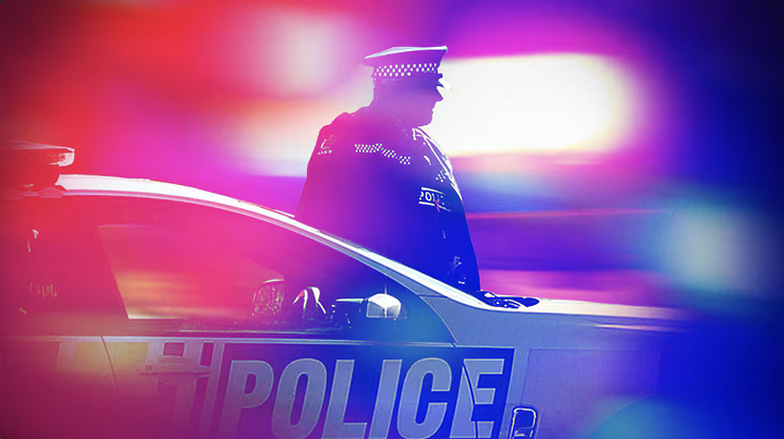 疯了么？！奥克兰38岁男子裸体闯宅，还试图淹死警犬！