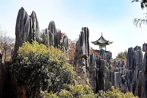 澳洲赴华游客创历史纪录，超越美英成第四大热门旅游地 - 14