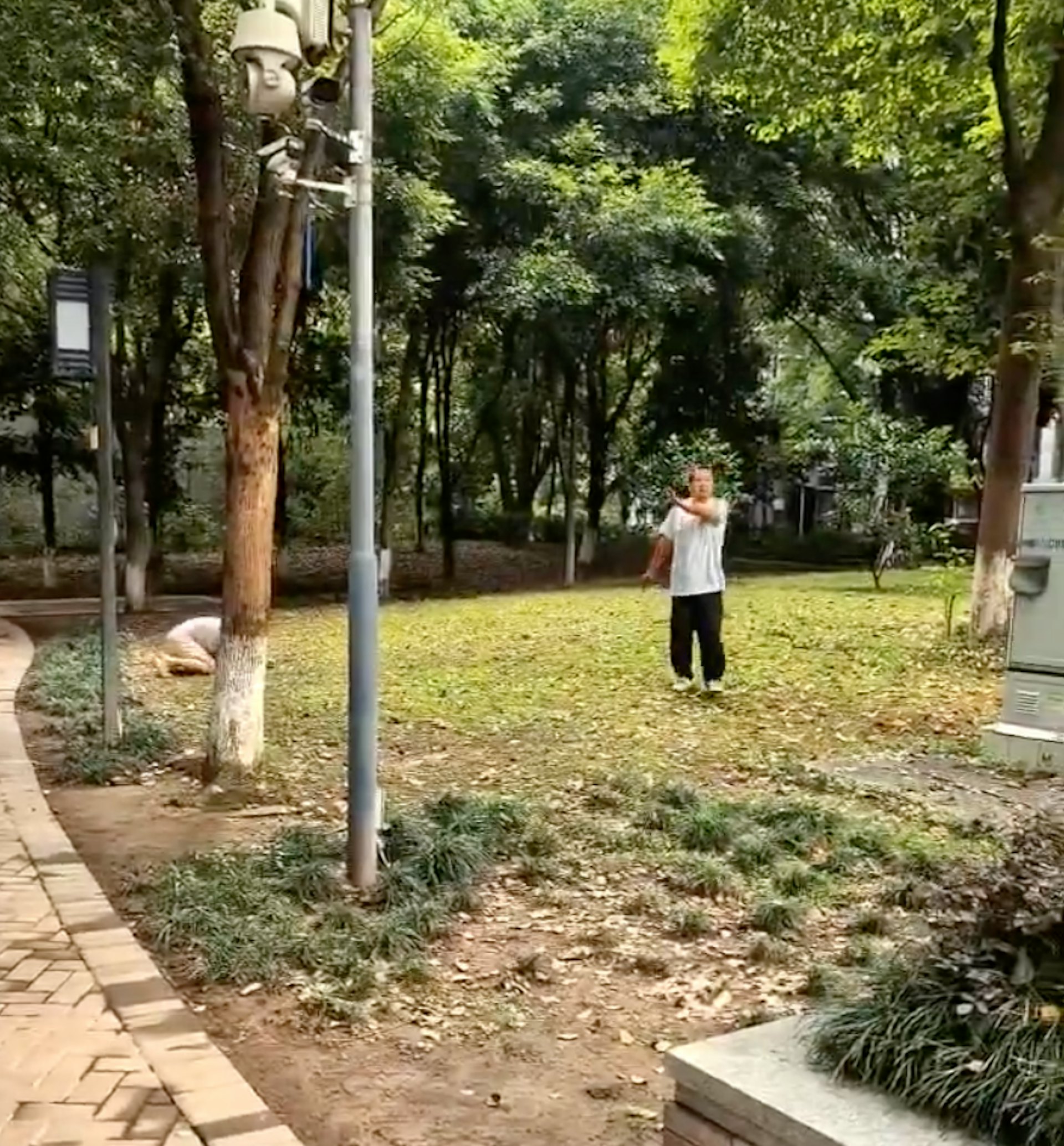 汪某行凶后情绪激动喊“我是替天行道、为民除害”,更对著镜头说,“大家网上查,好多人举报他(死者),把好多学生整得患上抑郁症”(影片截图)