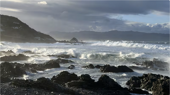 10米高涌浪拍向海岸!惠灵顿多地进入紧急状态,大批居民被强制撤离