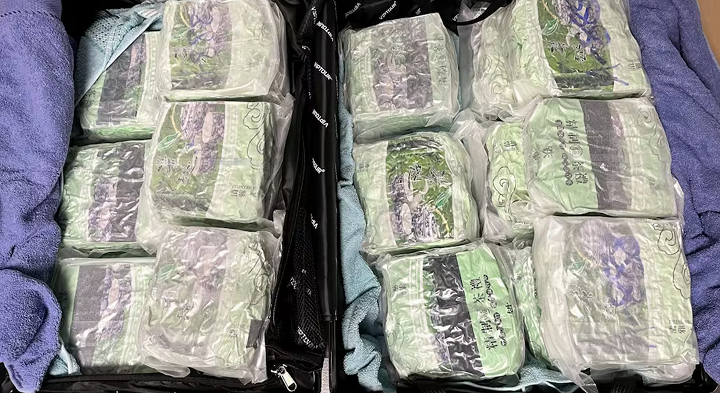 19.7公斤“精致绿茶”全是冰毒！男子从新加坡飞新西兰，在机场直接被捕