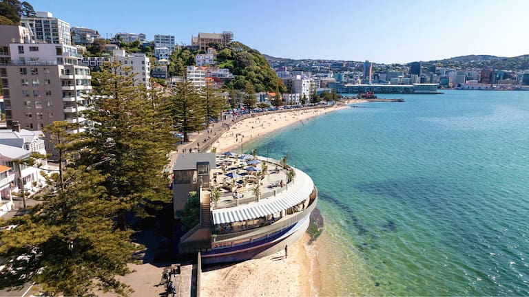 Wellington house values have dropped by more than $60b since the market peak in late 2021-early 2022. Photo / Wellington City Council.