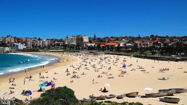 Woman in her 30s left with critical injuries after morning shark attack at Sydney's Coogee Beach.