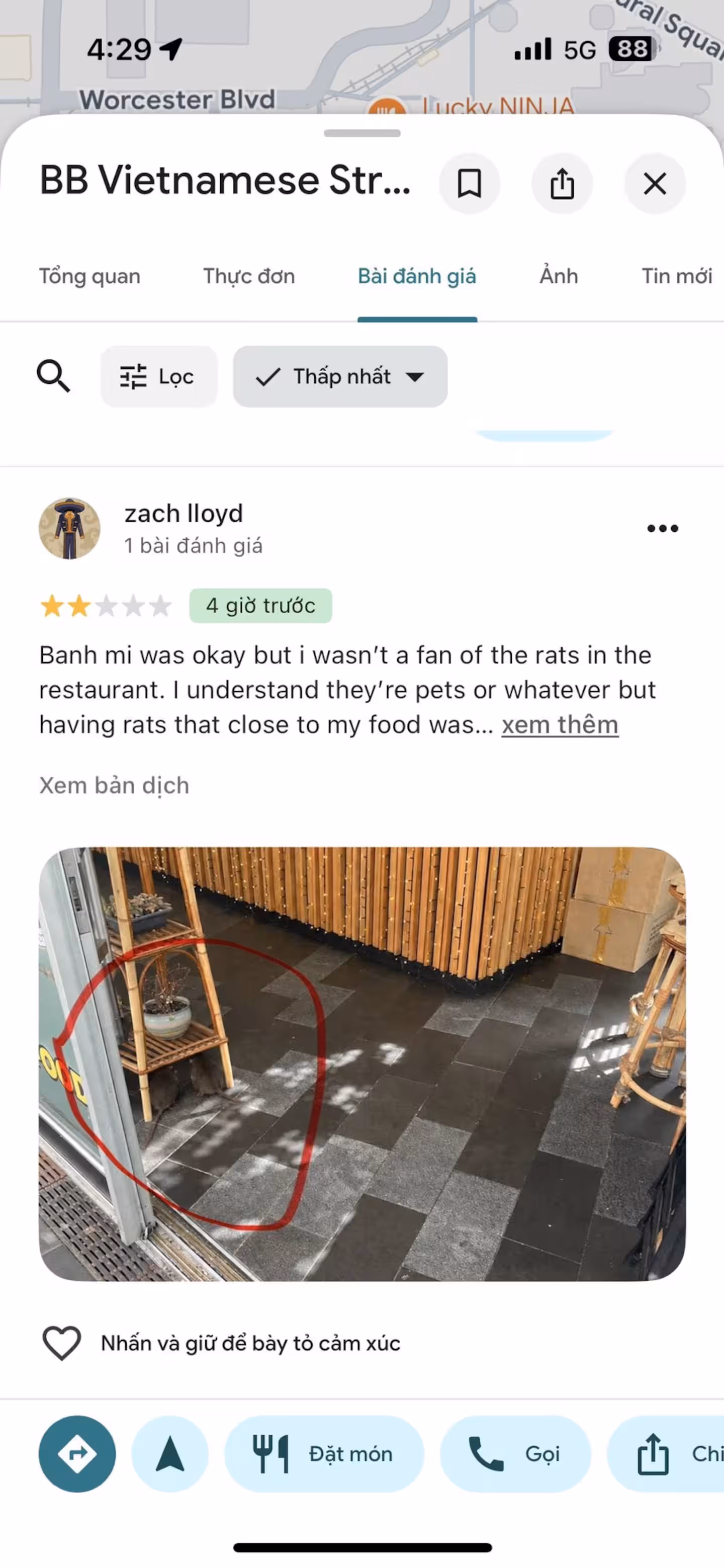 214 | 新西兰一家餐馆屡遭离奇差评,店内惊现大老鼠,老板怀疑遭AI造假抹黑