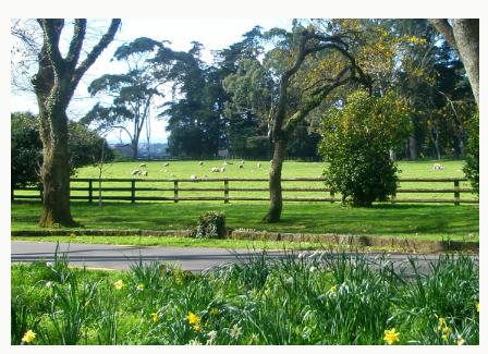 3. Explore Cornwall Park
