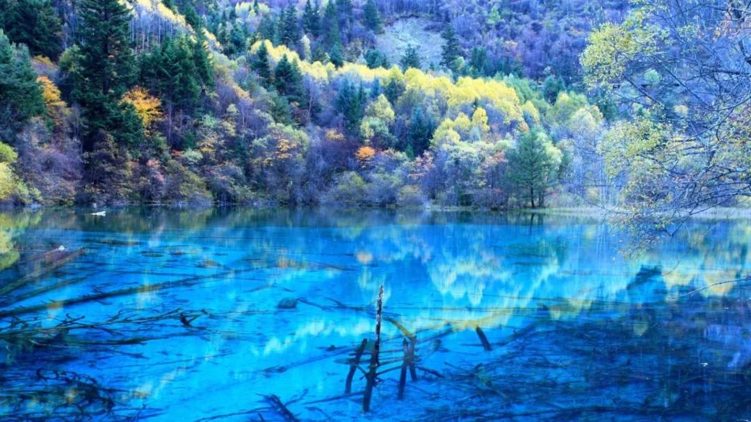 【凯特旅游新西兰】新西兰这处景点被中国游客占领，是因为有家的感觉？