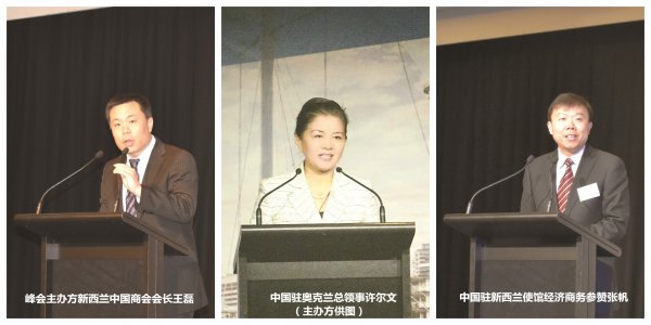 Investment summit Investment summit