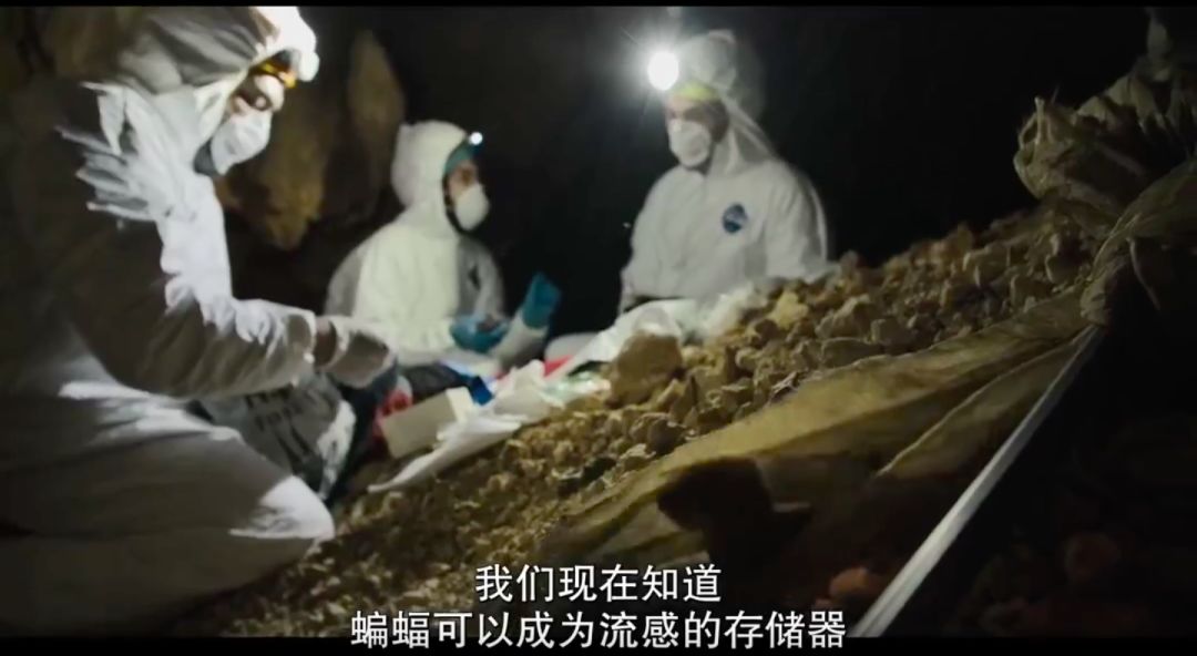 关于这场疫情的一切，都被它预料到了
