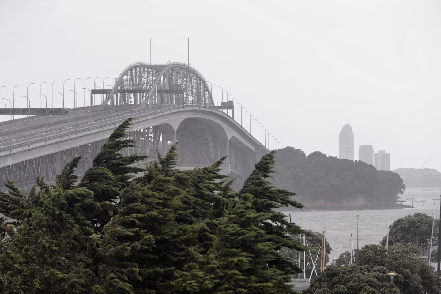 明天奥克兰海港大桥可能关闭!极地寒流席卷新西兰,大风大雨来了!