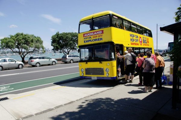 Auckland Hop On Hop Off Explorer Bus 18 103 800 600 80
