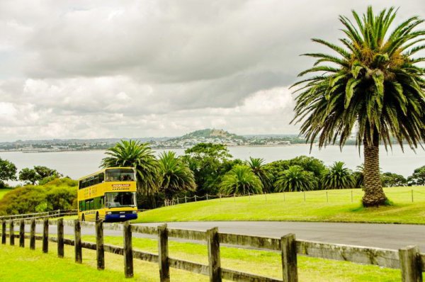 Auckland Hop On Hop Off Explorer Bus 20 105 800 600 80