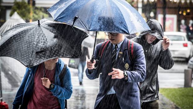 今天是晴朗前最后的阴雨，明媚的周末在向我们招手