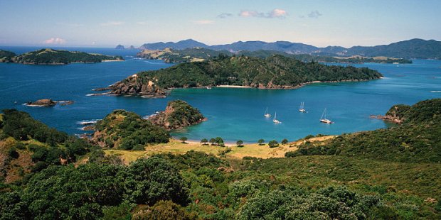 新闻哥说新闻3月7日：大浪淘沙，奥克兰又要开始一轮轰轰烈烈的造富运动了！