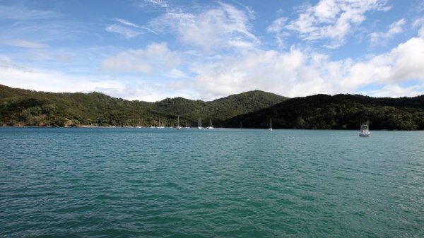 Great Barrier IslandNMASK7GYJFEZ3EGZJ22ML5EHDU