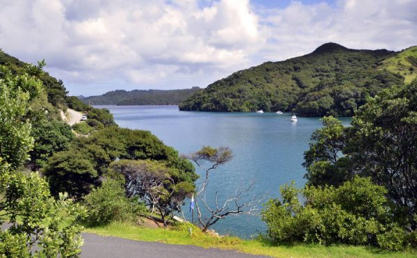 Great Barrier IslandSYK44SGNIBEN5PRJ7SDEFX75NY