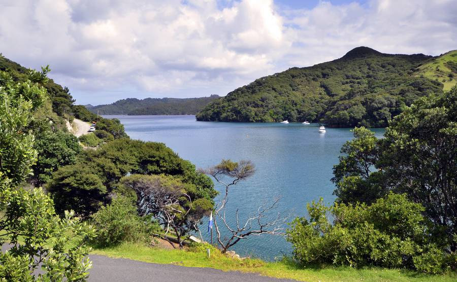奥克兰大障碍岛Great Barrier Island