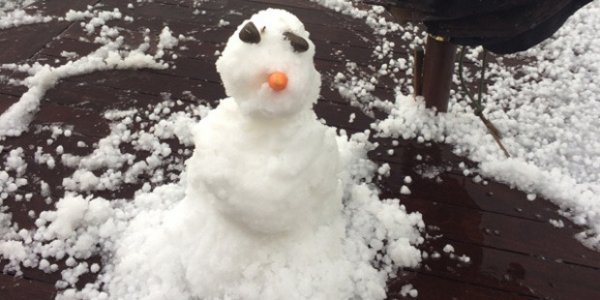 Hail man. Photo Helen Morrison