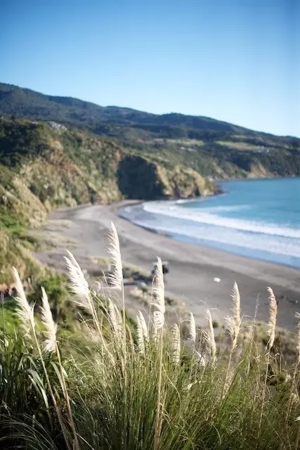 Kawhia Hot Water Beach.webp