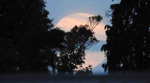 Photo Aroha Wakefield