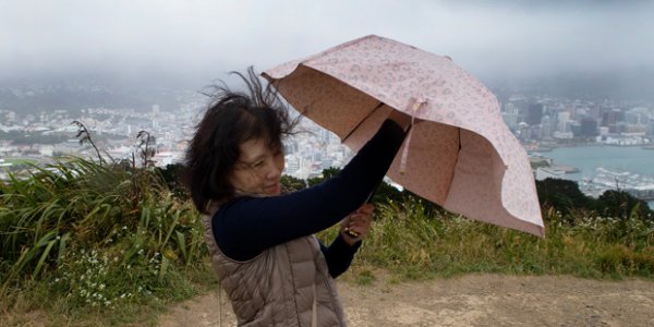 wind 图片来源:NZ Herald wind 图片来源:NZ Herald