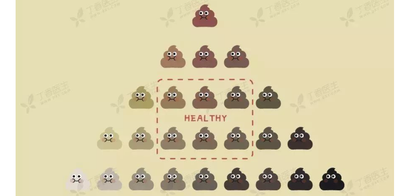 排便次数不正常？健康的便便，不一定是每天 1 次