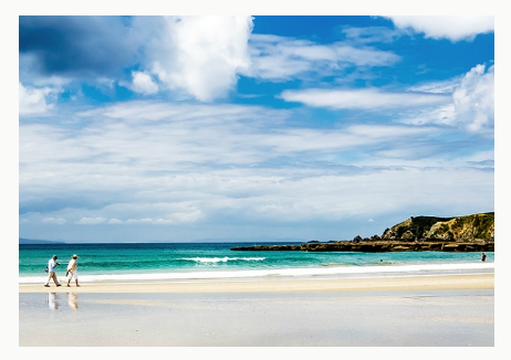 Take a day trip to Matakana