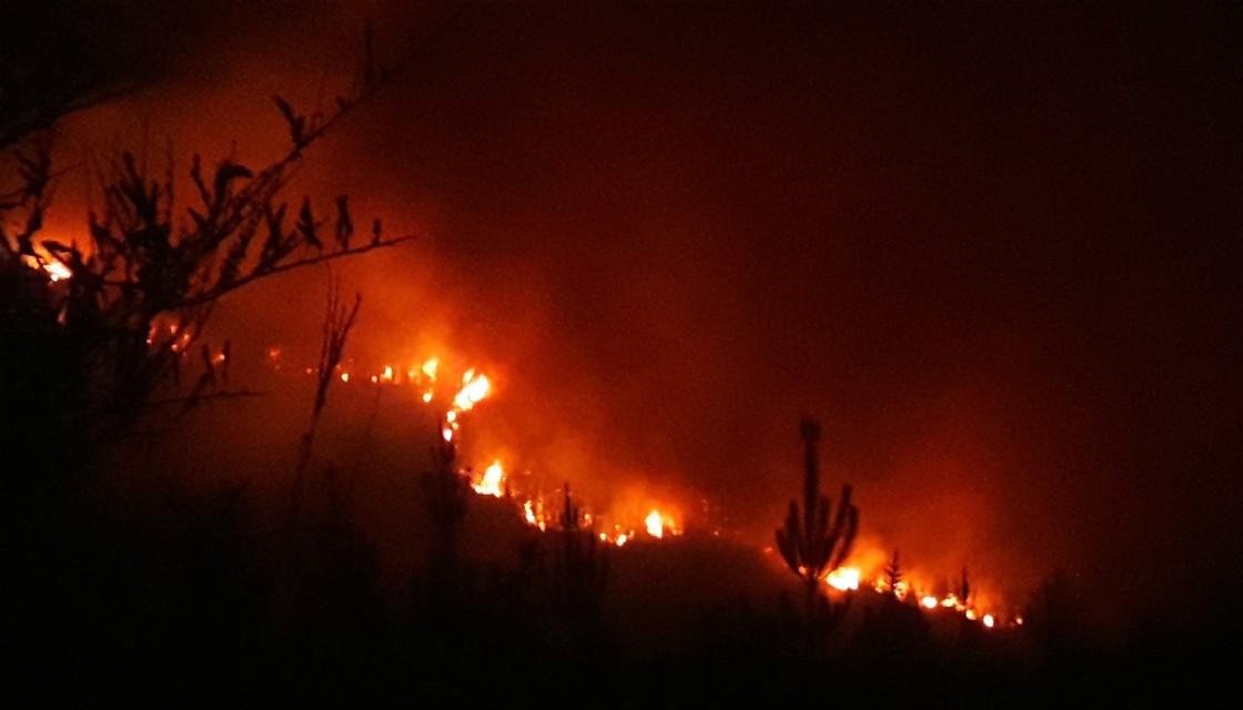 Tasman+Marlborough+Fire+Brigade+1120