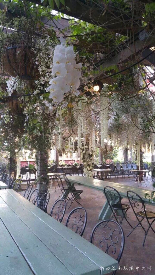 WeChat Image 20180116155117