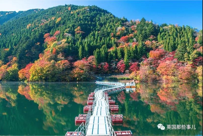 【英国那些事儿】“定居送房子，住满15年归你！来不来？”