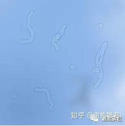 WeChat Screenshot 20180519162120