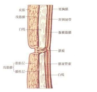 WeChat Screenshot 20180705121448